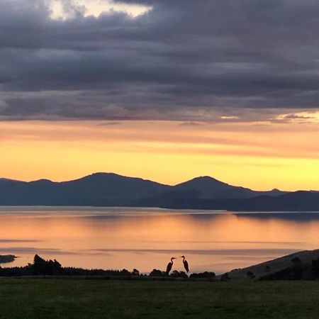 Hilltop Whakaipo Estate Таупо Екстериор снимка