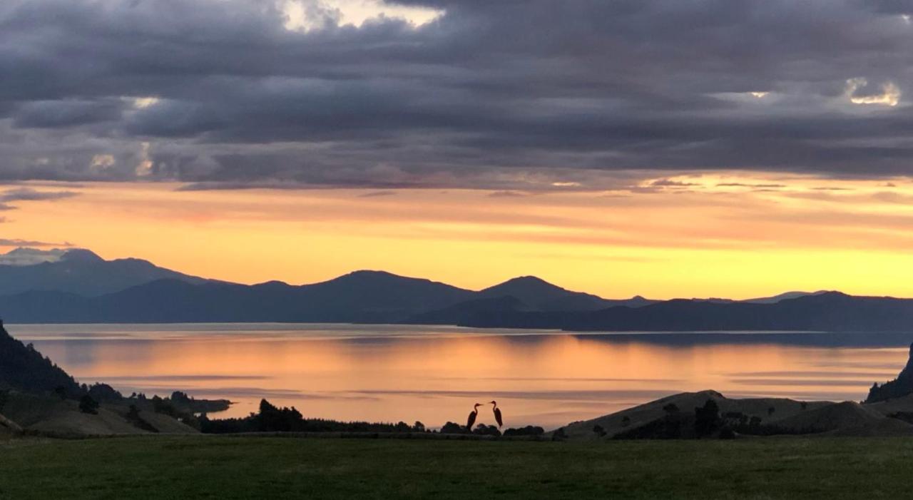 Hilltop Whakaipo Estate Таупо Екстериор снимка