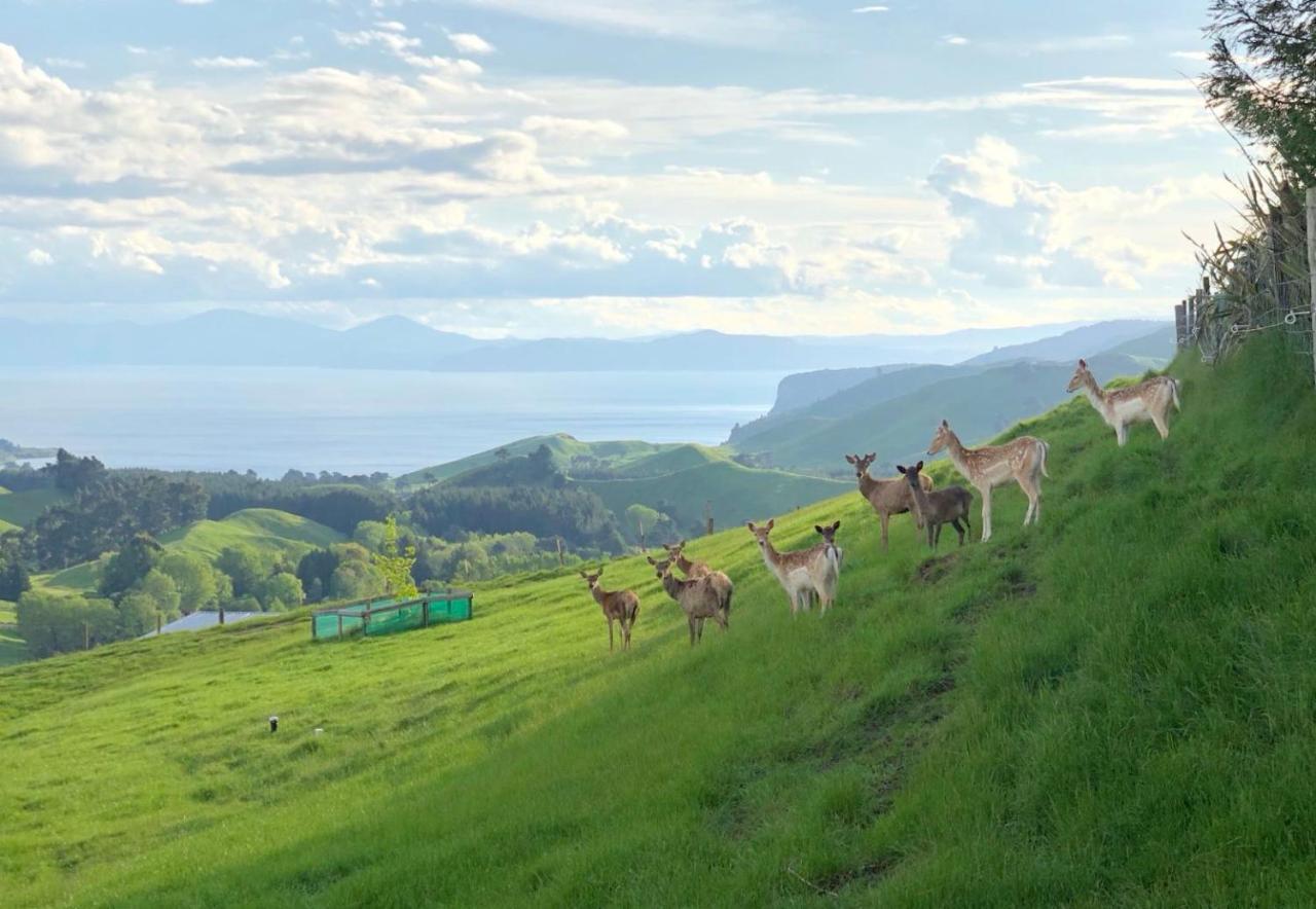 Hilltop Whakaipo Estate Таупо Екстериор снимка