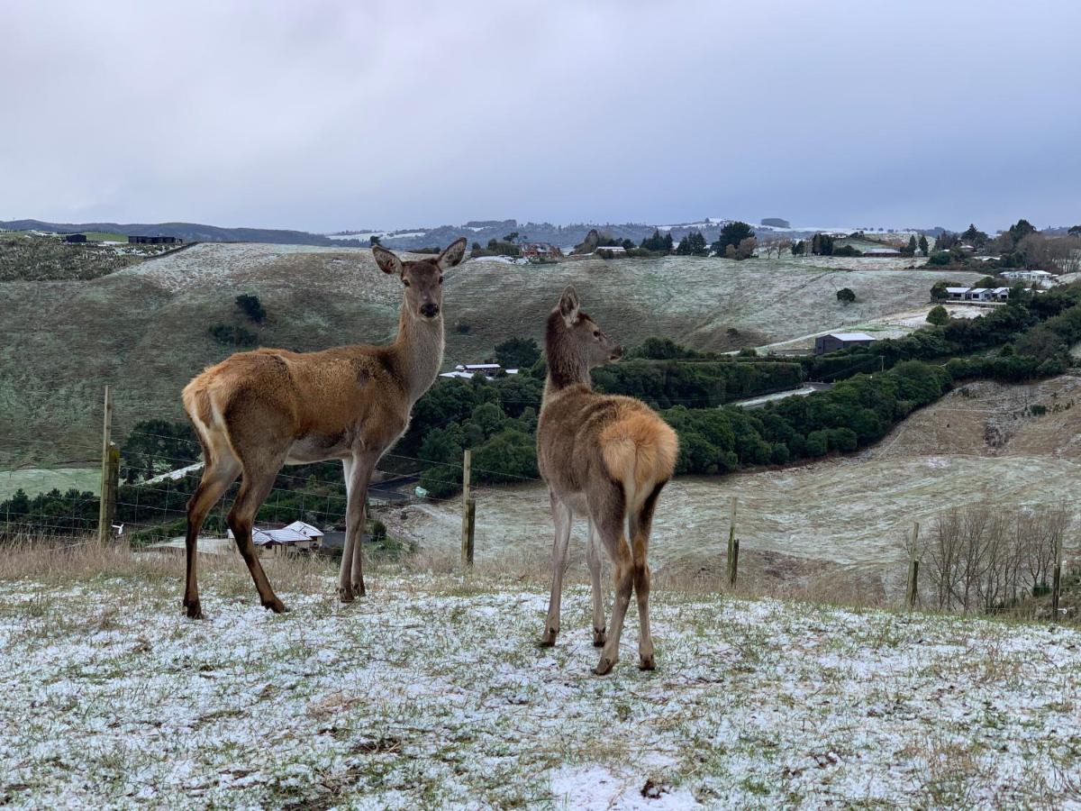 Hilltop Whakaipo Estate Таупо Екстериор снимка