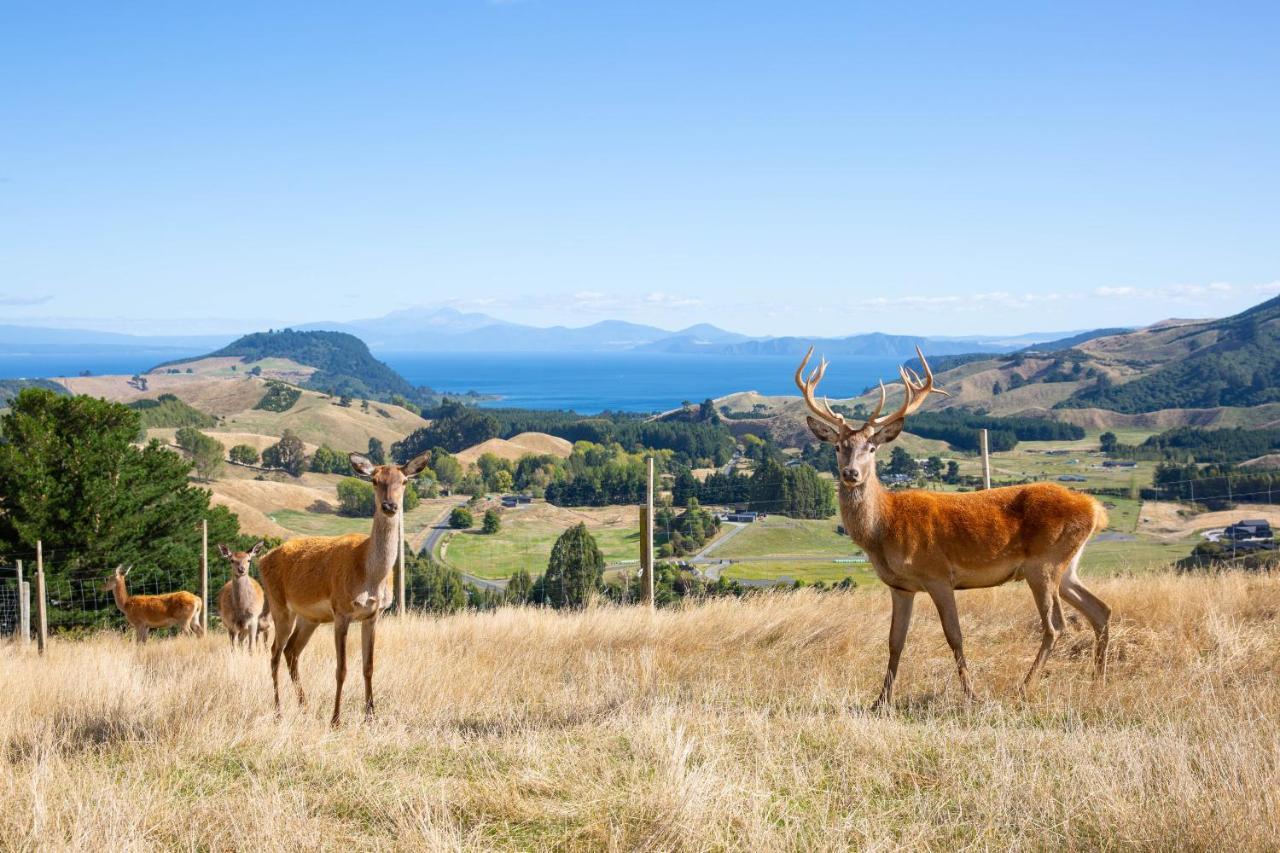 Hilltop Whakaipo Estate Таупо Екстериор снимка