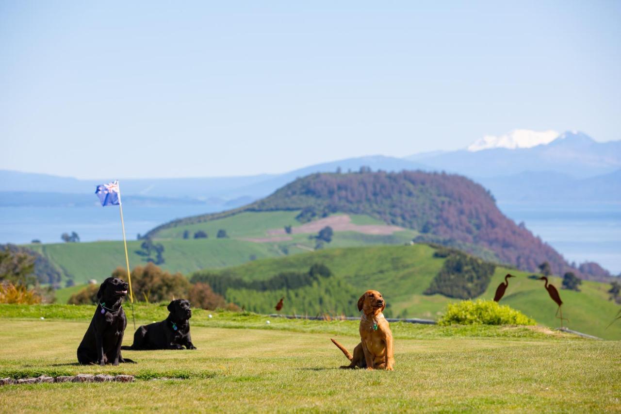 Hilltop Whakaipo Estate Таупо Екстериор снимка