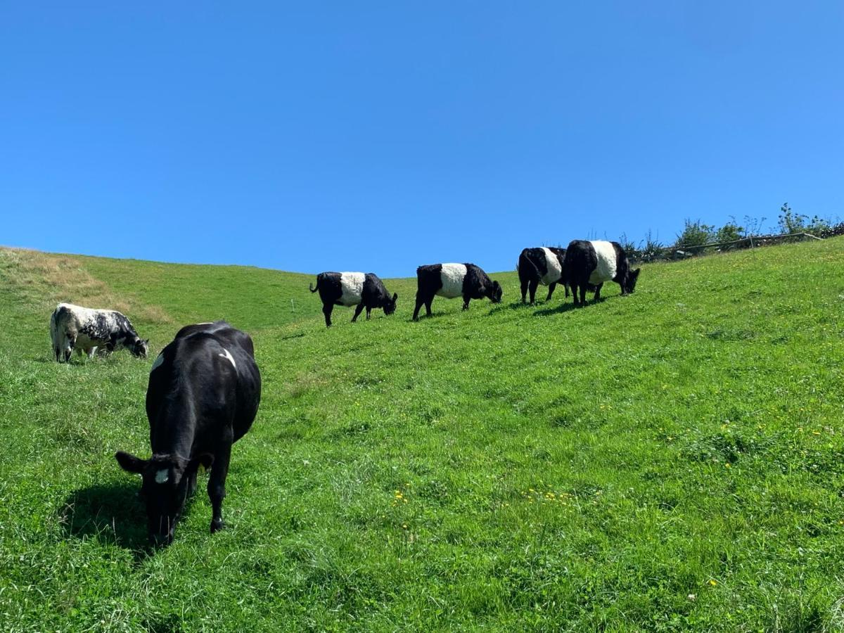 Hilltop Whakaipo Estate Таупо Екстериор снимка