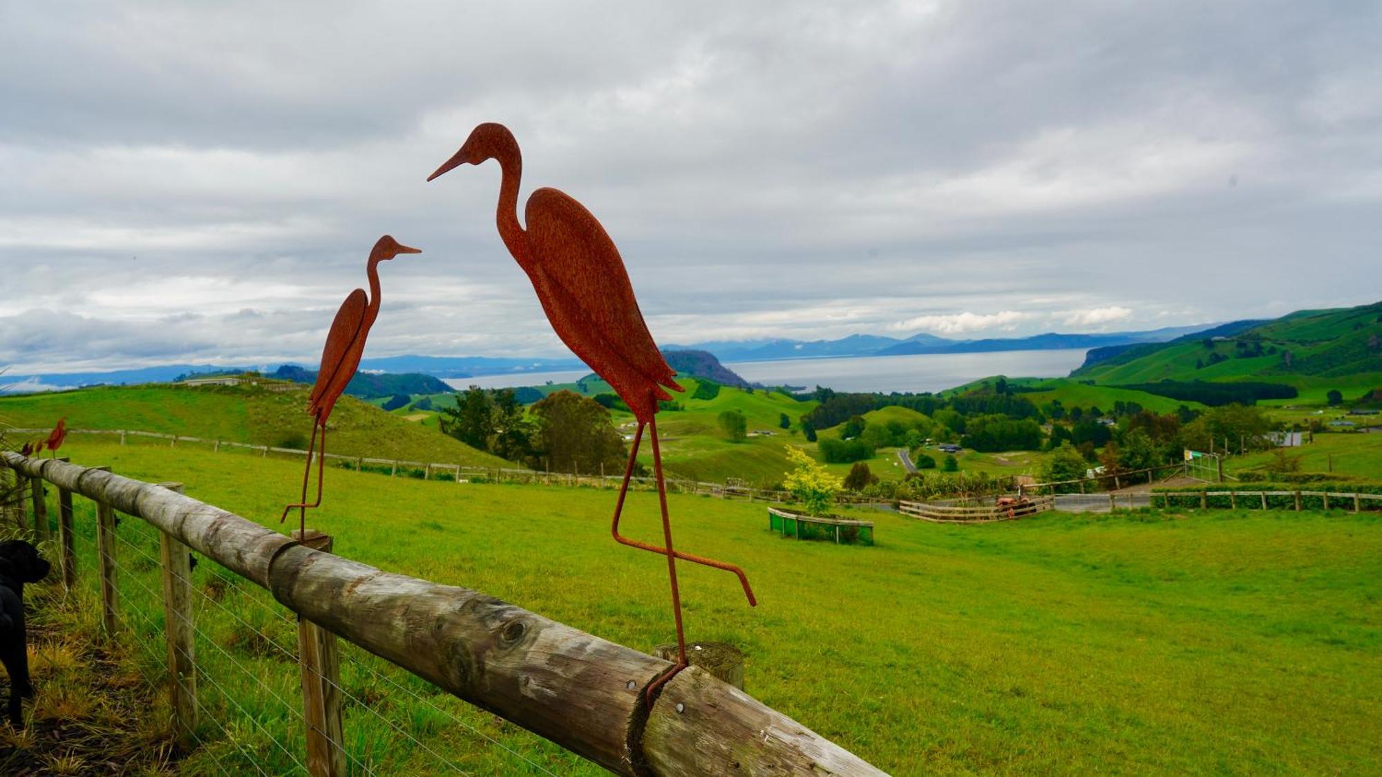 Hilltop Whakaipo Estate Таупо Екстериор снимка