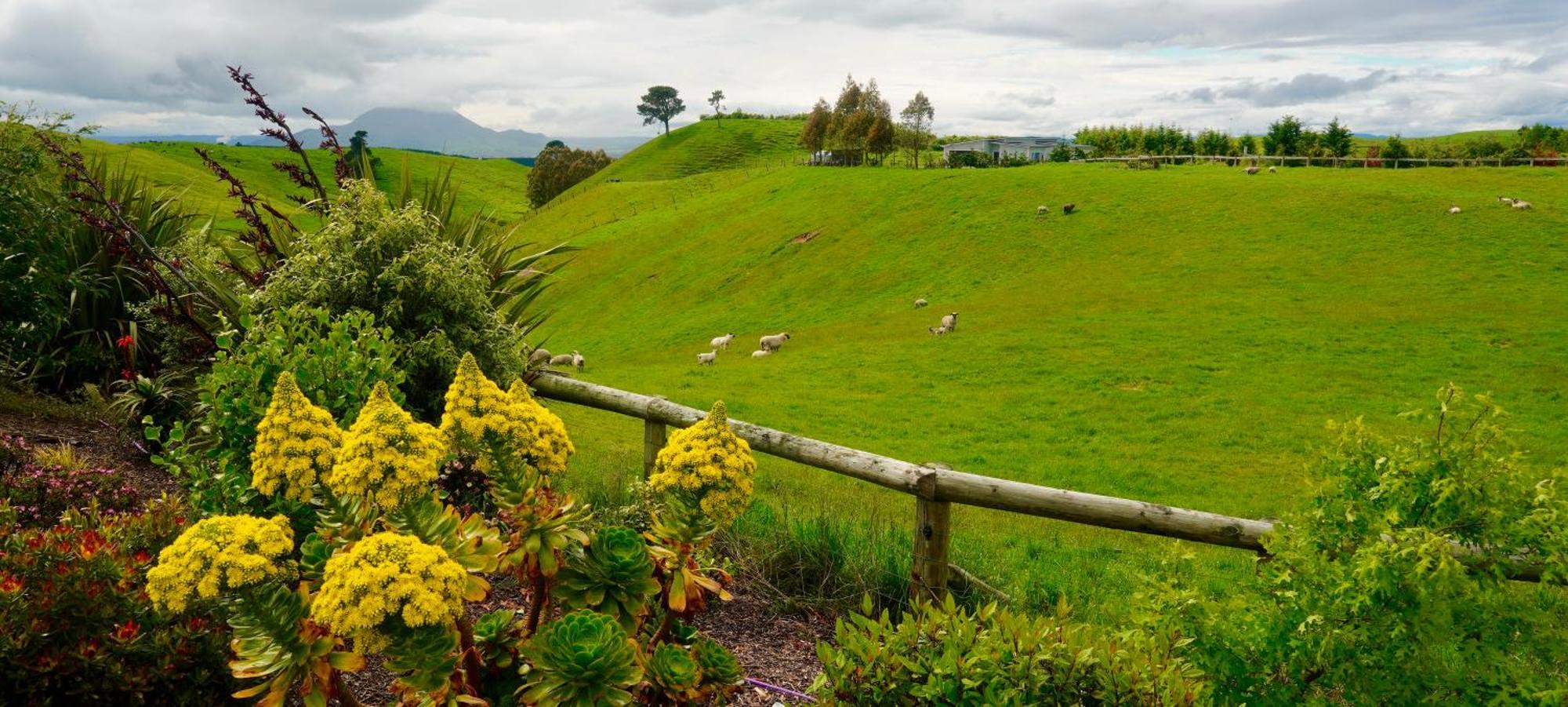 Hilltop Whakaipo Estate Таупо Екстериор снимка