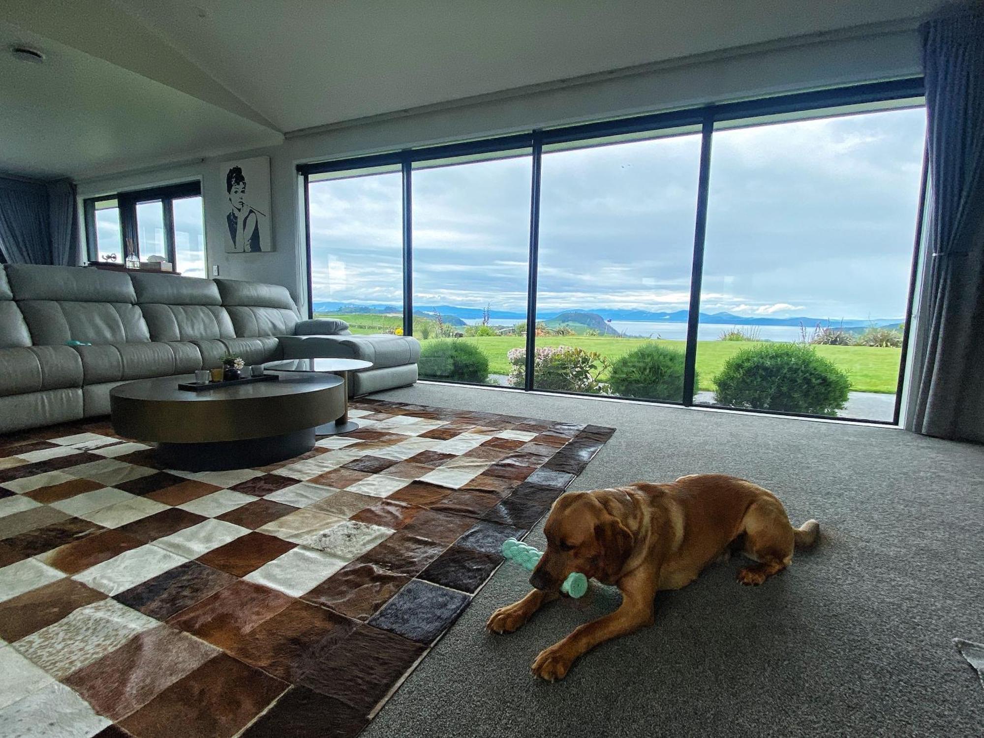 Hilltop Whakaipo Estate Таупо Екстериор снимка