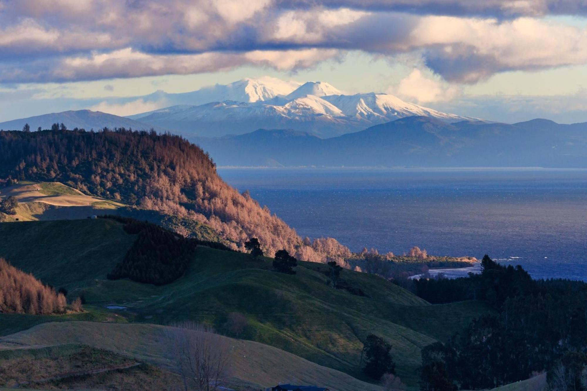 Hilltop Whakaipo Estate Таупо Екстериор снимка