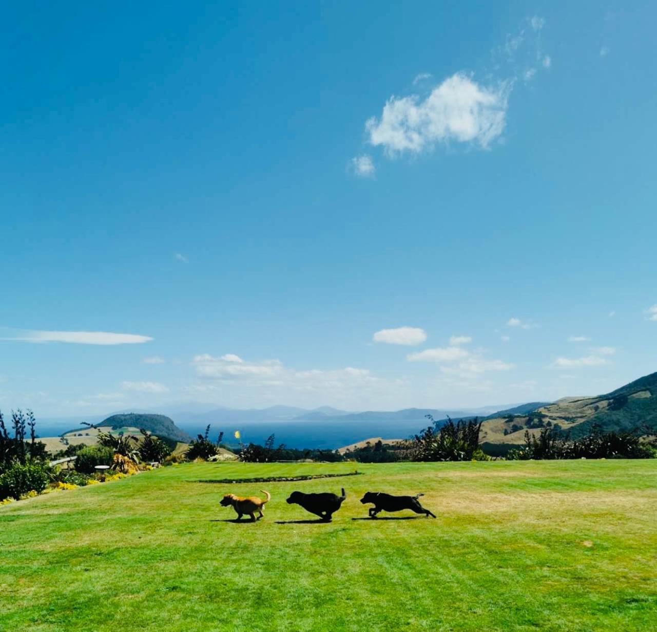 Hilltop Whakaipo Estate Таупо Екстериор снимка
